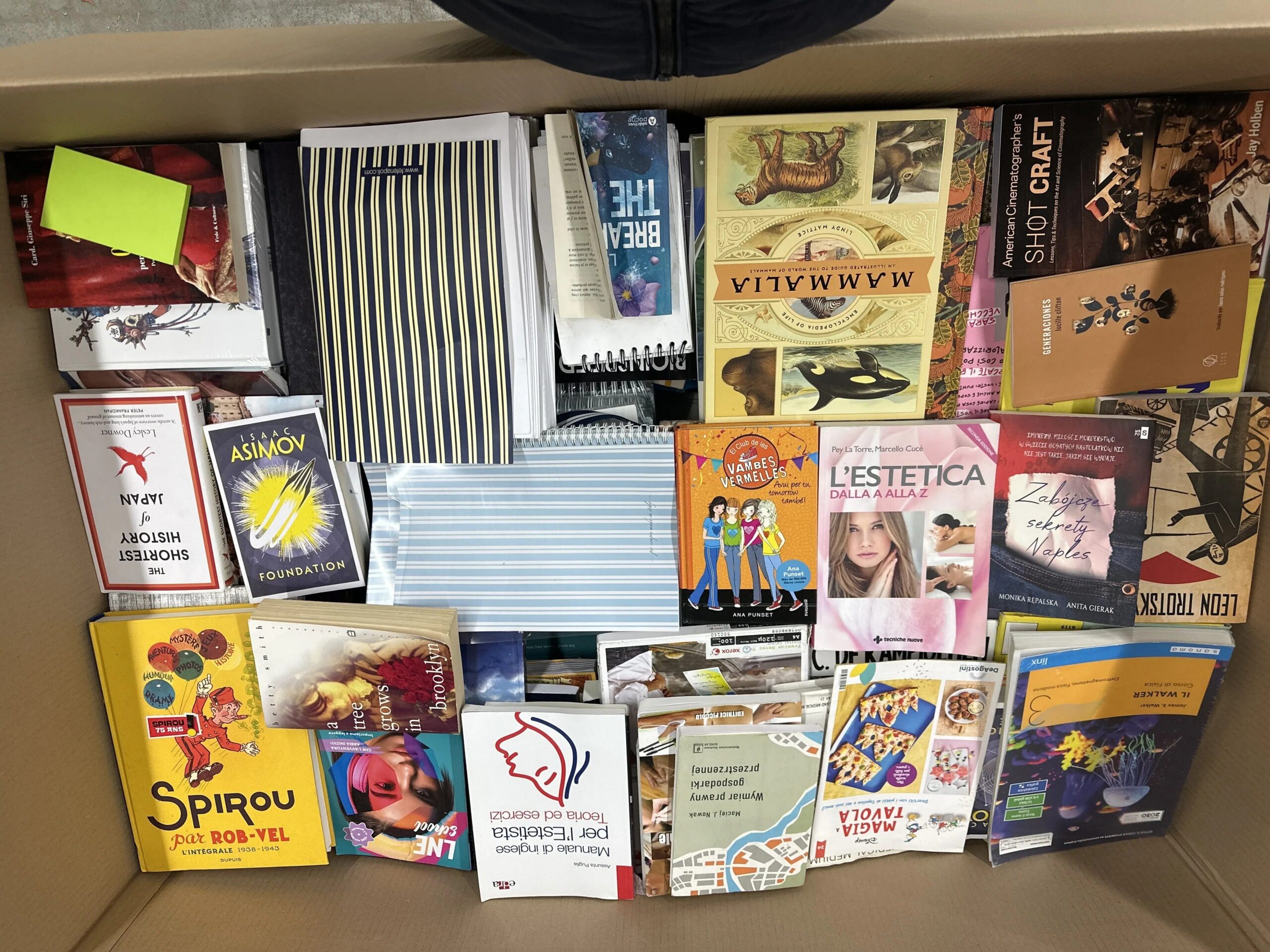 1764931734_cropped General Merchandise Liquidation Pallet — Lot 29 — liquidation pallet photo 3