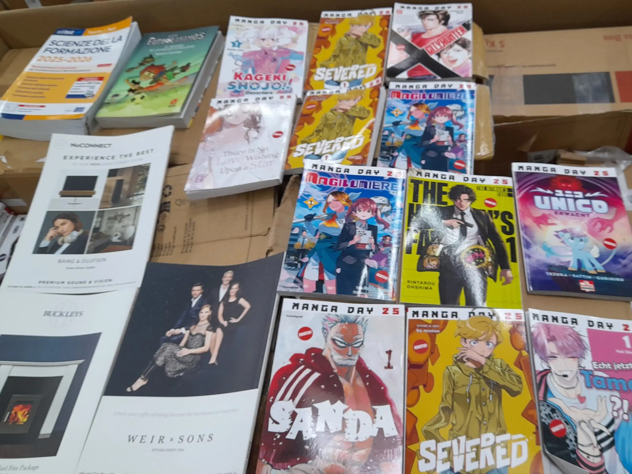 1766061060_cropped_6880862e-5c58-4824-b34f-223392c8b130 General Merchandise Liquidation Pallet — Lot 24 — liquidation pallet photo 3