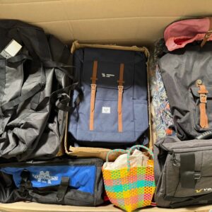 Pallet includes Bags items (LS-TS-006) — liquidation pallet photo 4