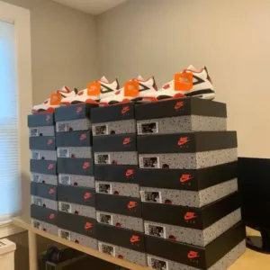 Wholesale Jordan Shoes Liquidation Pallet — liquidation pallet photo 3