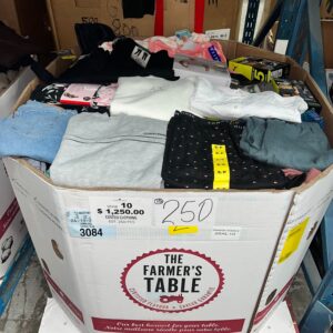 Brand Name Clothing – 250pcs Liquidation — mixed condition