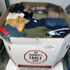 Brand Name Clothing – 250pcs Liquidation — mixed condition