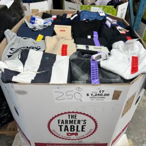 Brand Name Clothing – 250pcs Liquidation — mixed condition