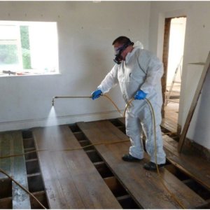 Woodworm killer and rot treatment 5L wet and dry protection solution Liquidation Pallet — liquidation pallet photo 2