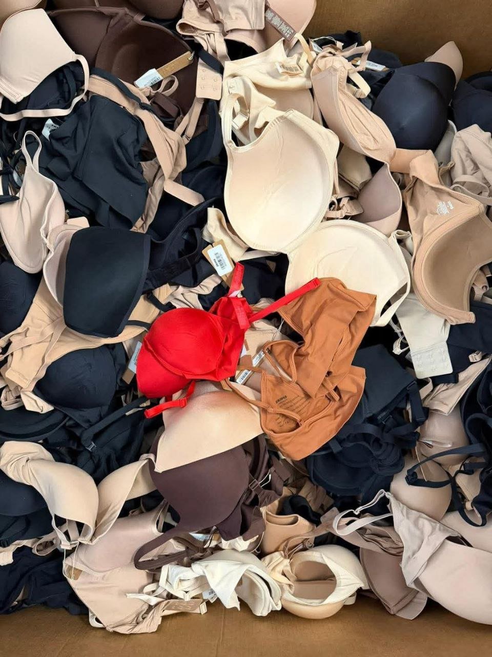 n1 Nwt Skims Bras Liquidation Pallet — liquidation pallet photo 2