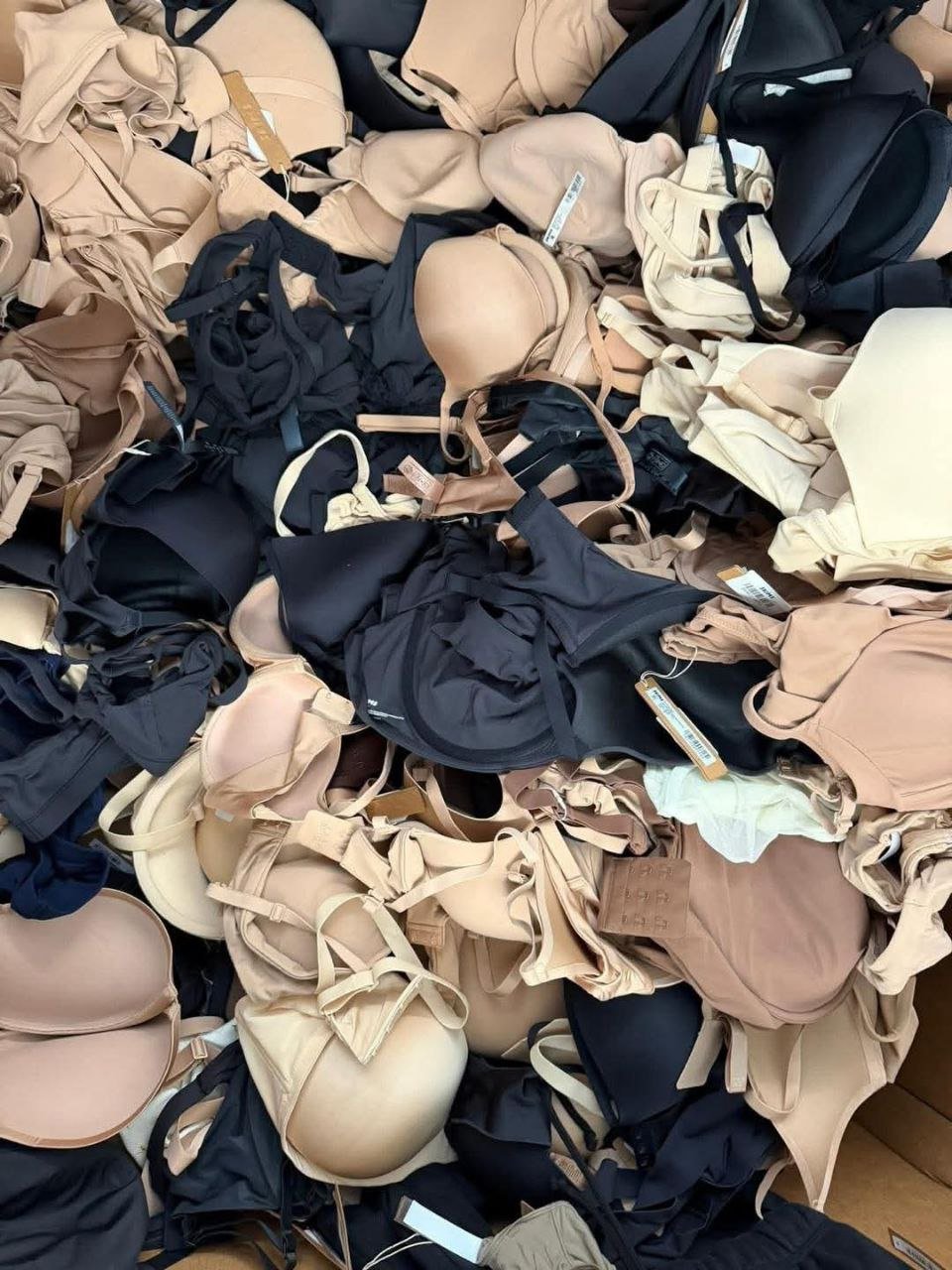 n3 Nwt Skims Bras Liquidation Pallet — liquidation pallet photo 3