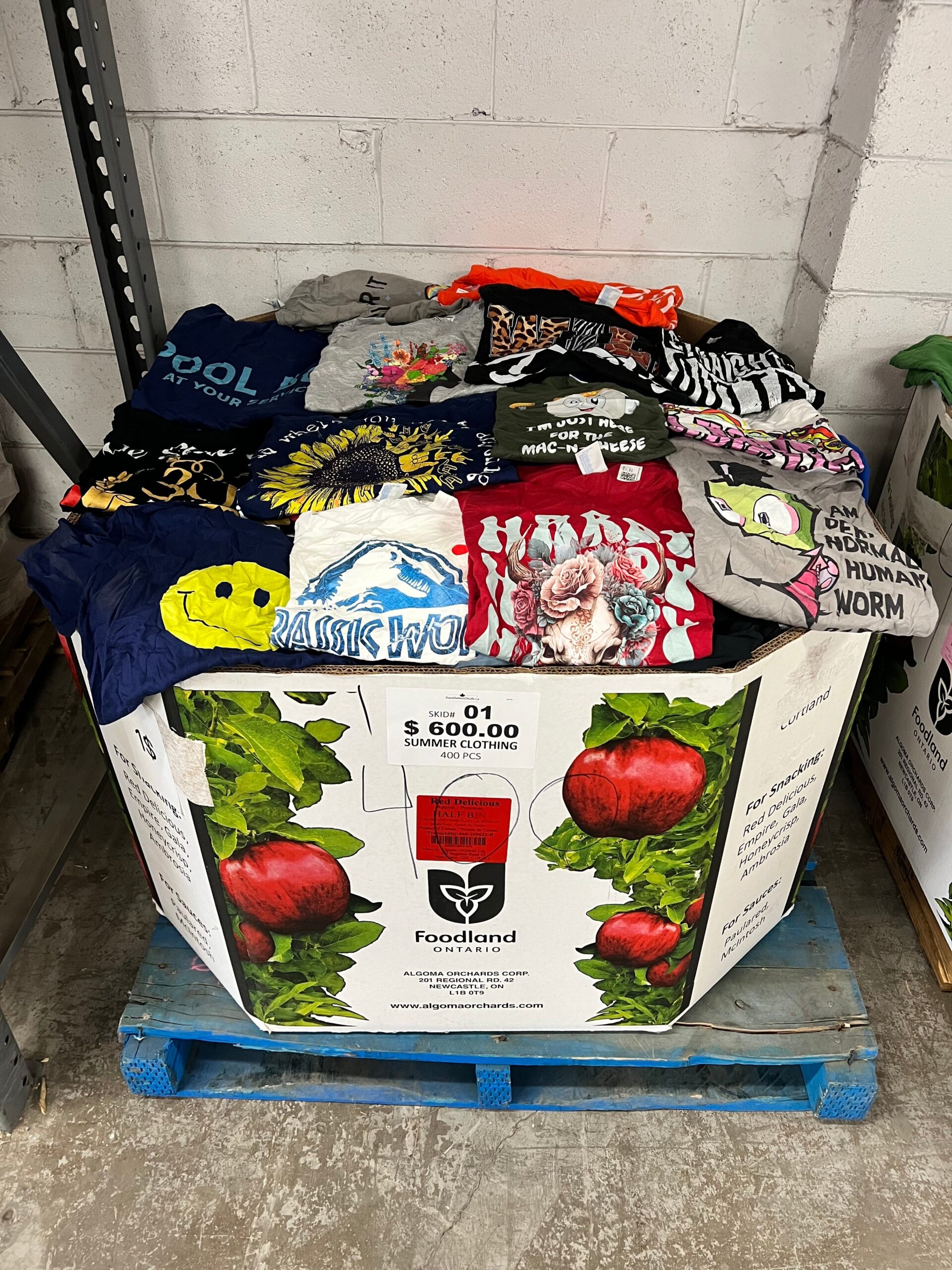 summer-clothing-1-400pcs-liquidation-wholesale-pallet-summer-clothing-1-400pcs-liquidation-wholesale-pallet-liquidationdeals-ca-1237090018 Summer Clothing – 400pcs Liquidation Pallet — mixed condition