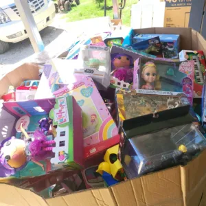 Toys Liquidation Pallet — liquidation pallet photo 2