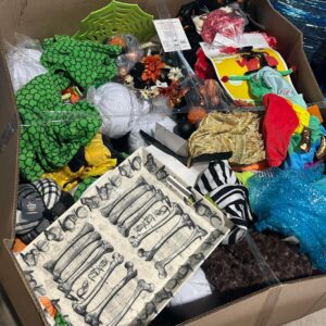 Halloween Costume Liquidation Pallet — bulk toys & seasonal pallet, customer-return, free freight to 50 states